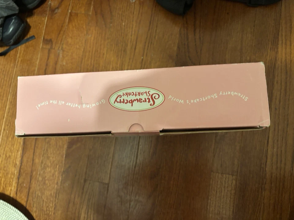 Vintage Strawberry Shortcake Color DVD Player w/ Remote 2005 Brand New In Box - Image 4 of 4