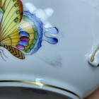 Bild 8 von 21