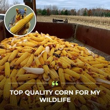 Whole Ear Corn Feed   18 lb Bag  Squirrel, Bird  Critter Feed  Michigan Grown