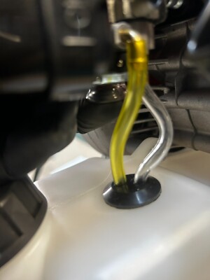 Quando Scegliere Il Decespugliatore A Benzina - Giardinaggio Piante E Fiori - Foto 12