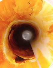 Disney Movie Rewards "The Lion King" 19 1/2 x 29 1/2" Member Exclusive Poster