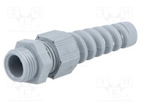 2 StüCk Helu HT-K-PG9-RAL7001 Kabelverschraubung