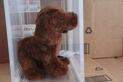 WEBKINZ NEXT 2026 CHOCOLATE LAB-COMES WITH UNUSED/SEALED CODE/TAG