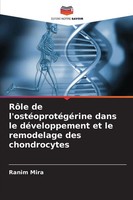 Ranim Mira | RôLe De L'ostéOprotéGéRine Dans Le DéVeloppement Et Le...