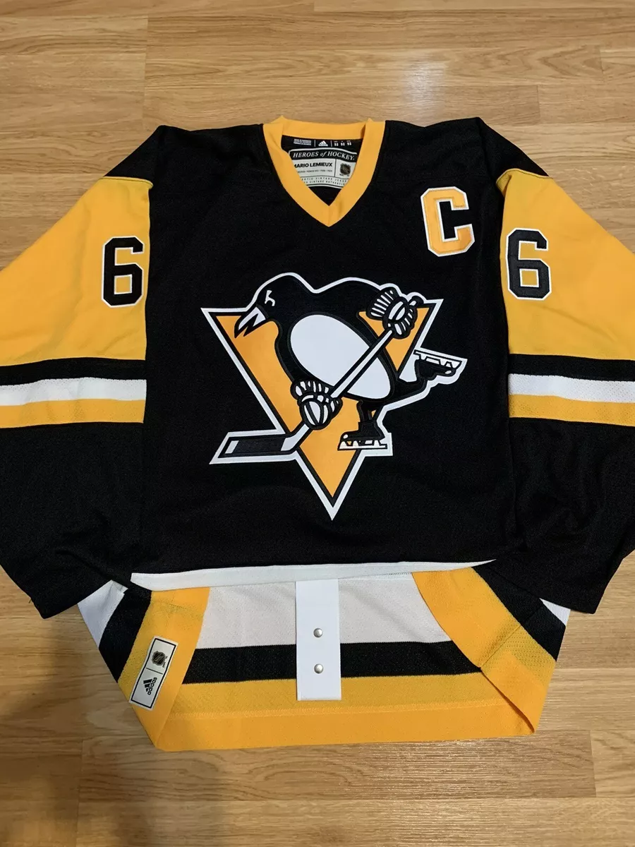 Nhl heroes sales of hockey jersey