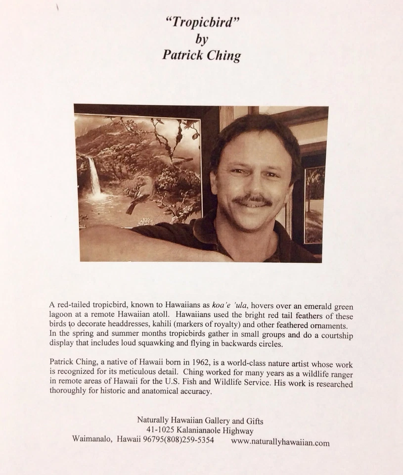 (TROPICBIRD)print By Patrick Ching,A Red-tailed Tropicbird Hovers Over Lagoon. - Image 2 of 3