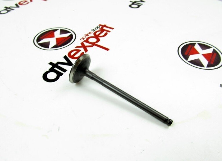 ナックル Neu, OEM, L'engrenage primaire entraîné (gear assy) SUZUKI V