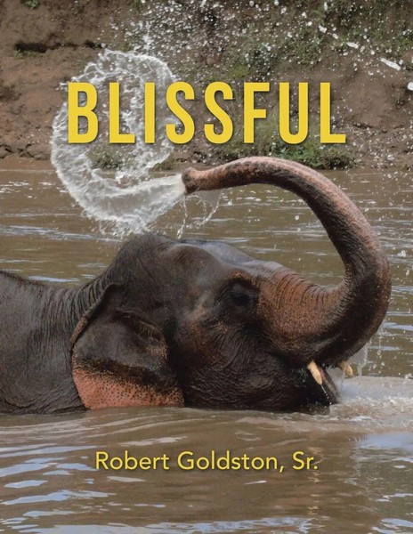 Robert Go*Dston Sr. | Blissful | Taschenbuch | Englisch (2020) | Balboa Press-image