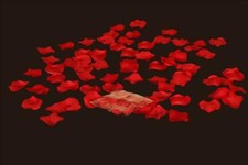 YCC Linens - 5 Pack 100 pcs Silk Rose Petals for weddings and special events