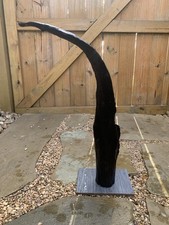 Natural Driftwood For Aquarium/Terrarium/Arts And Crafts