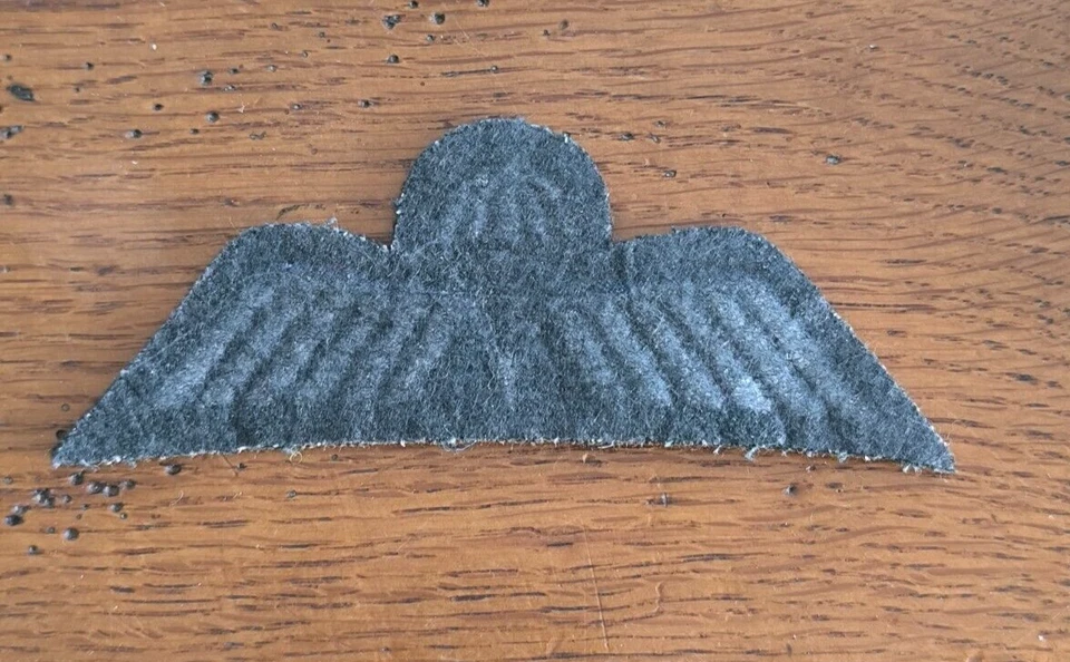 Insigne Ecusson Patch Brevet Parachutiste Hollande Pays Bas )10 - Photo 2/2