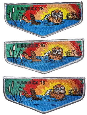 Lodge # 76 Hunnikick S-31 Executive Board 3 Different Gray Border OA Flaps MINT