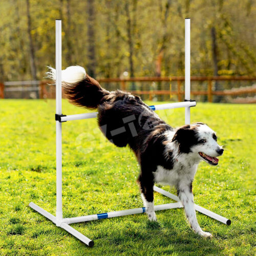 Pet Dog Agility Equipment 7PCS Set Obstacle Course Training Supplies Toys Jump - Picture 7 of 12