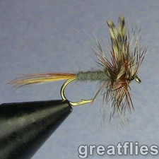 1 dozen (12) - Adams