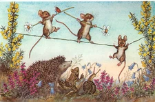 Medici Society Postcard Molly Brett Anthropomorphic Mice On The Tightrope PK401