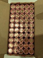 2024 D Denver Mint Lincoln Penny Uncirculated NF String Box 50 Rolls