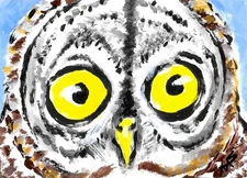 ACEO Print Owl Bird Painting Abstract Original Collectible Art Samantha McLean