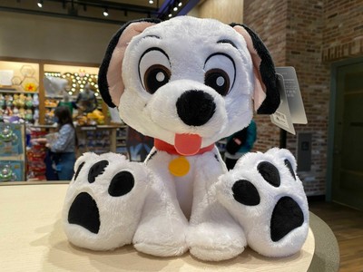 dalmatian teddy