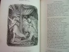 Foto 6 di 12