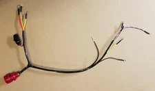 Johnson Evinrude 20-35 HP Engine Wire Harness 387872, 389269, 389764