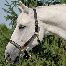 Horse Size Premium Triple Stitched Leather Halter Havana Brown w/ Brass Hardware