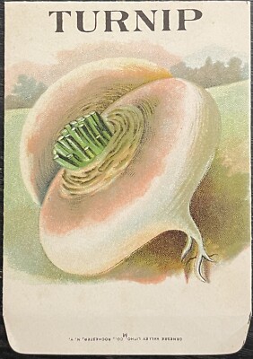 c1910-15 Vegetable Seed Packets Vintage - Genesee Valley Litho. Co.