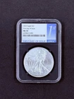2023 Silver Eagle MS70  First Day Of Issue * Nice Setting *