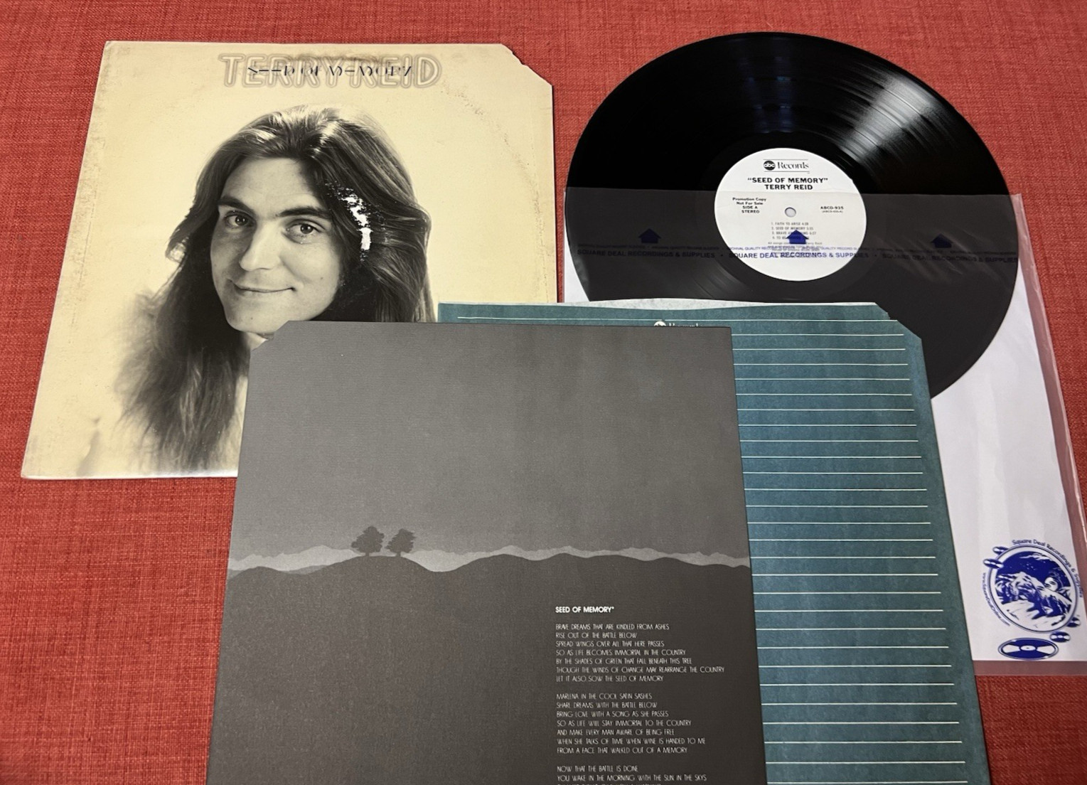 TERRY REID - Seed Of Memory / Rare White Label Promo Vinyl LP / 1976 ABCD-935