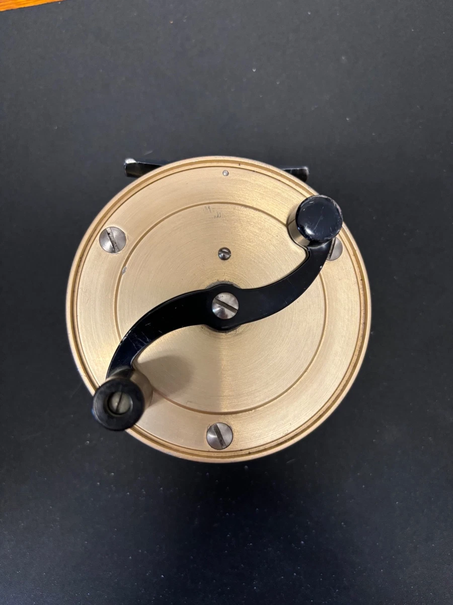 best reels for shark fishing Choosing the Right Reel for Land Based Shark Fishing