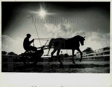 1988 Press Photo David Drew drives Charmont Chippendale at Morgan Horse Show