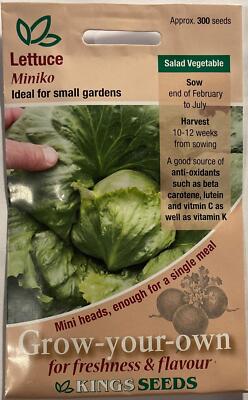 Lettuce Seeds Miniko 300 Fresh Seeds Small Gardens Iceberg Lettuce ...