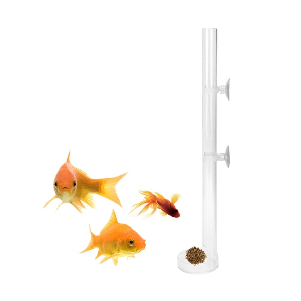 Tube d'alimentation en acrylique premium pour élevage de crevettes délicates