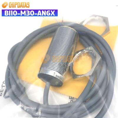 1PCS New BRUCK BI10-M30-AN6X