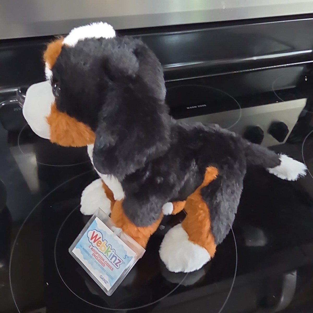 Ganz 2025 Webkinz Next Bernese Mountain Dog NEW WK000025 2