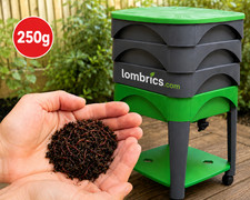 250g de Vers de Terre pour Lombricomposteur 🪱 Lombrics Eisenia Andrei à Compost