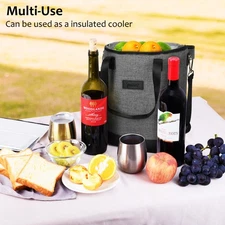 Wine Carrier Bag Insulated 6 Bottle Cooler Protection Carrying Tote Case Travel