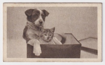 Trade Card - Art Picture Series (J. Edmondson & Co.) - #48