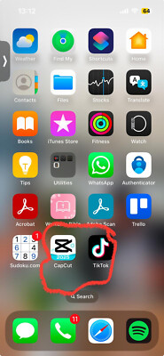 Apple iPhone 13 Pro - 1TB - Graphit (Ohne Simlock) mit Tiktok und Capcut Download
