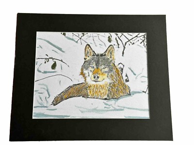 Mark Leary Art Aquarellgemälde Wolf in Schnee gegraben zur Isolierung