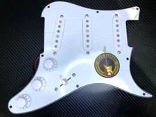 PRS SE Silver Sky John Mayer pickguard Set | Express Delivery Included |