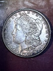 1888 P  Morgan Dollar NATURALLY TONED GEM (4)) start $.99