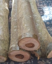 laburnum wood carving blank  300mm x 50mm (3 available)