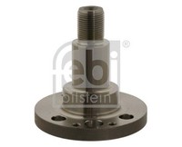 Febi Bilstein 30501 Achszapfen, AchsköRper Hinten Links Rechts FüR Audi Seat