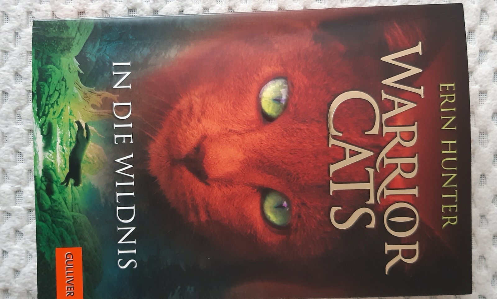 Warrior Cats Staffel 1/01. In Die Wildnis Erin Hunter