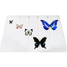Butterfly Spreading board