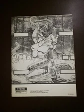 Stern VIPER Original Pinball Manual