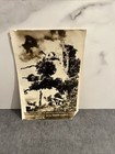 Atomic Bomb Photo Hiroshima Japan Upper Half A Grand Campher Tree Shrine 1000m — photo 1