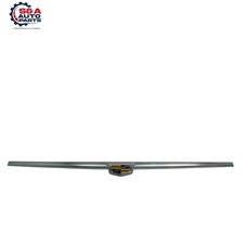 CADILLAC ESCALADE 2015-2020 TAILGATE LIFTGATE LOWER FINISHER TRIM PANEL COVER OE