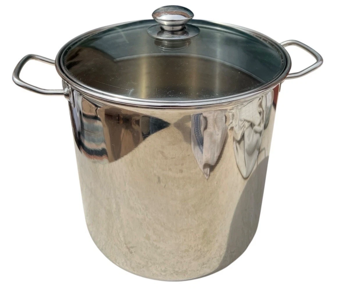 Williams Sonoma Stock Pot With Tempered Glass Lid 18/10 SS 12 Quart Pasta Soup