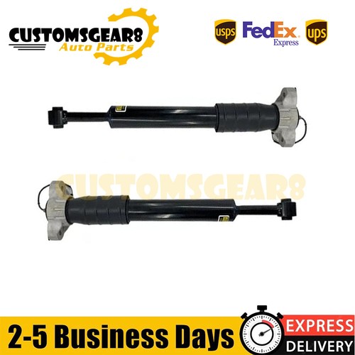 Maserati Quattroporte S Diesel 2013-2017 Rear Right Dampers 2 pcs P/N 67010540 Photo - $195